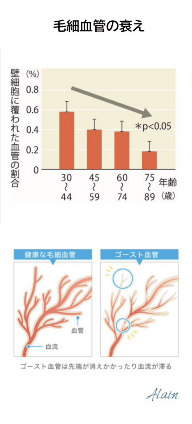 毛細血管の衰え